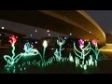 LICHTFAKTOR - dENiZEN - Light Painting Video